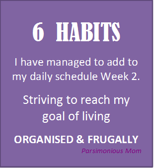 6 Habits I have managed to add to my daily schedule Week 2 - Parsimonious Mom.